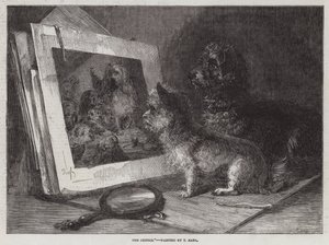 Los críticos de Thomas Earl